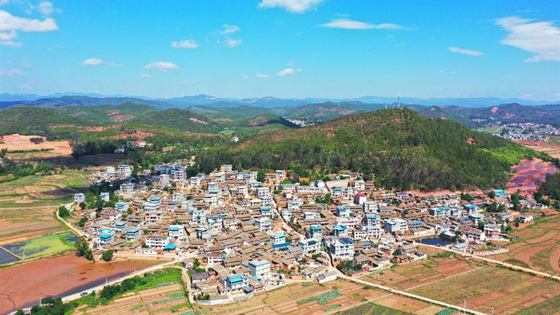 市场前景充分抓住南华县龙川镇手留余香赠人玫瑰始于玫瑰源于相遇最