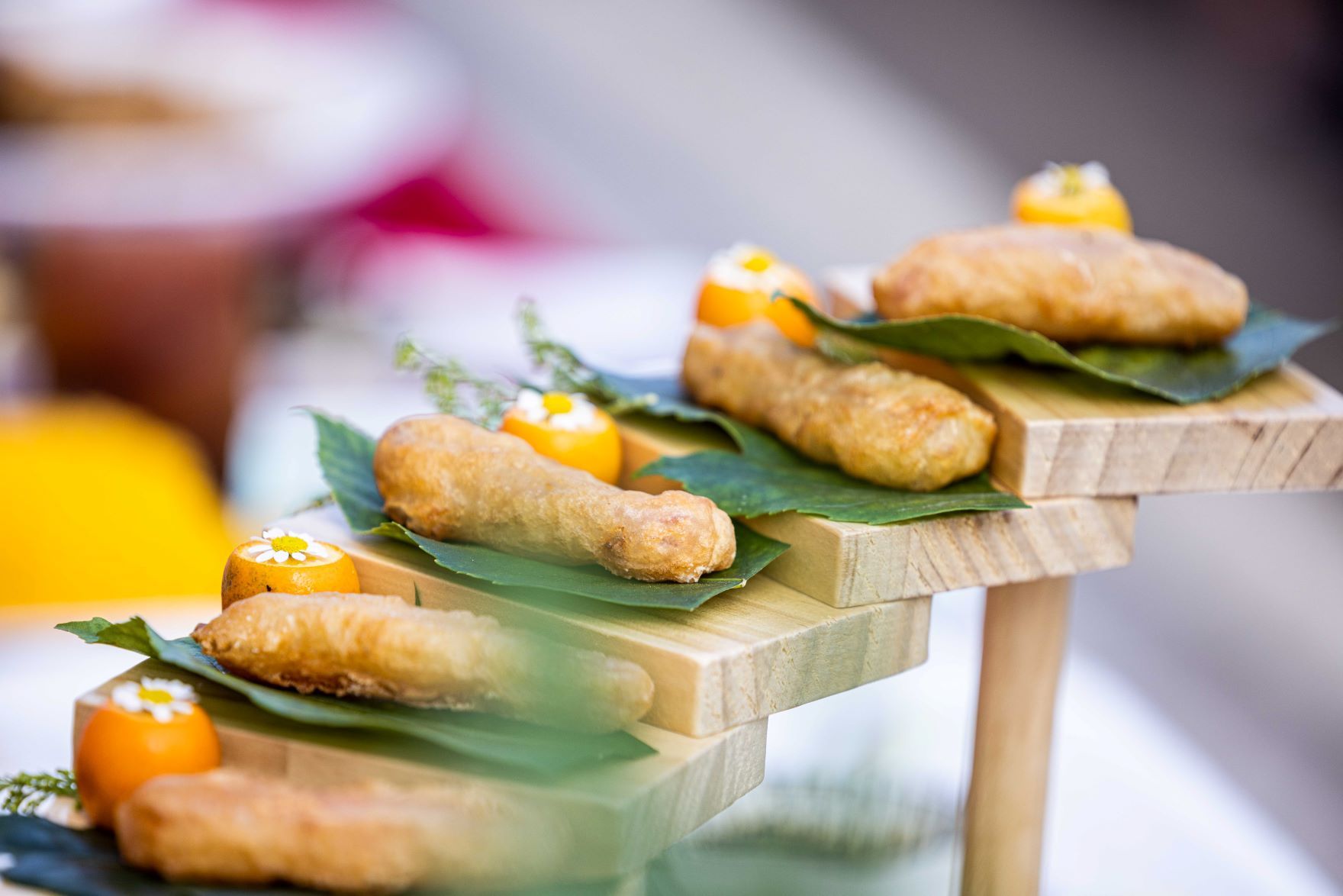 有一种叫云南的生活走进武定牡丹文化旅游节三食牡丹