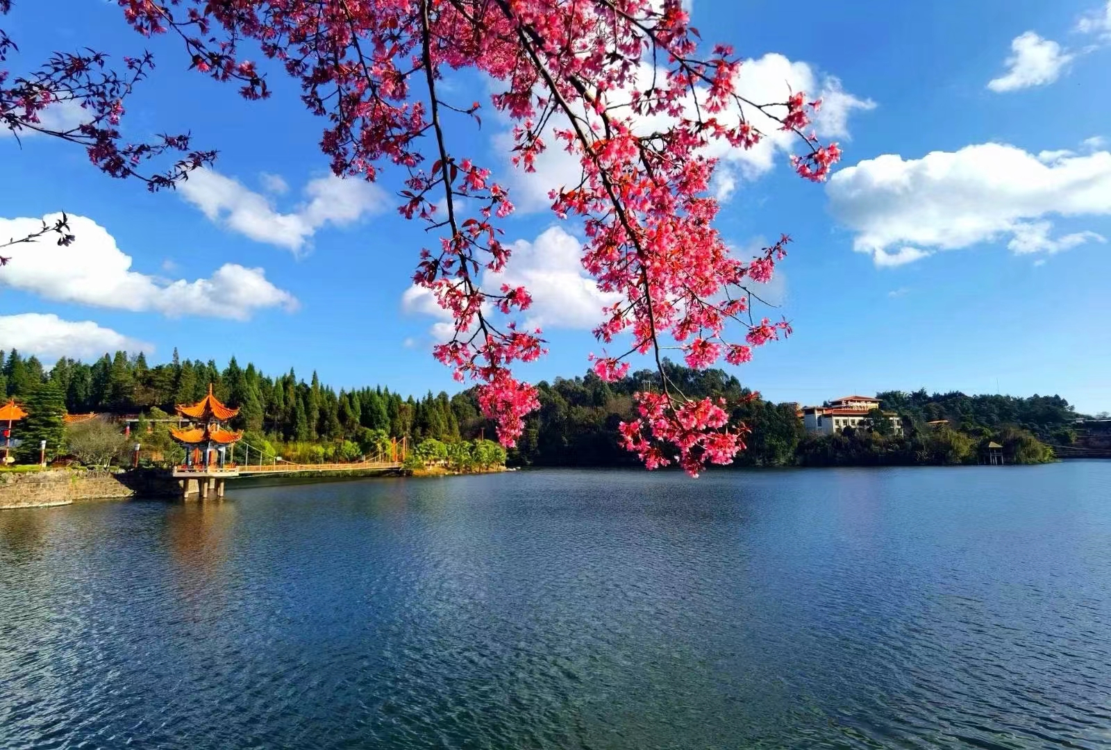 https://manager.ynggwhy.cn/file/group12/M00/02/40/rBABO2TSGr6ENgLdAAAAAKv245s748.jpg