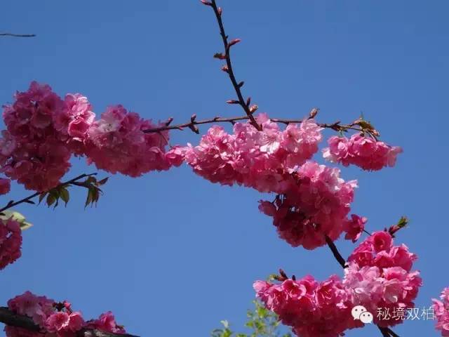 https://manager.ynggwhy.cn/file/group12/M00/06/EC/rBABO2UBDCmEG5CYAAAAAMsx2cM587.jpg