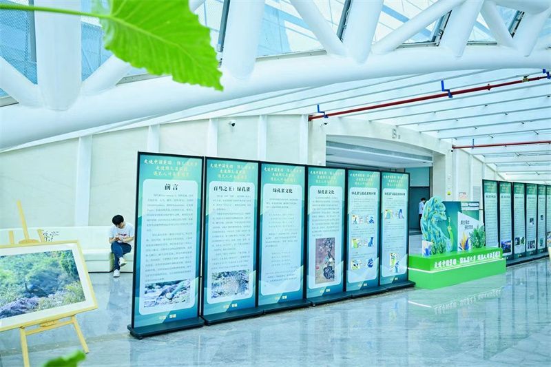 https://manager.ynggwhy.cn/file/group13/M00/00/2A/rBABVWT5HaGEPvh2AAAAAInXxIM01.jpeg