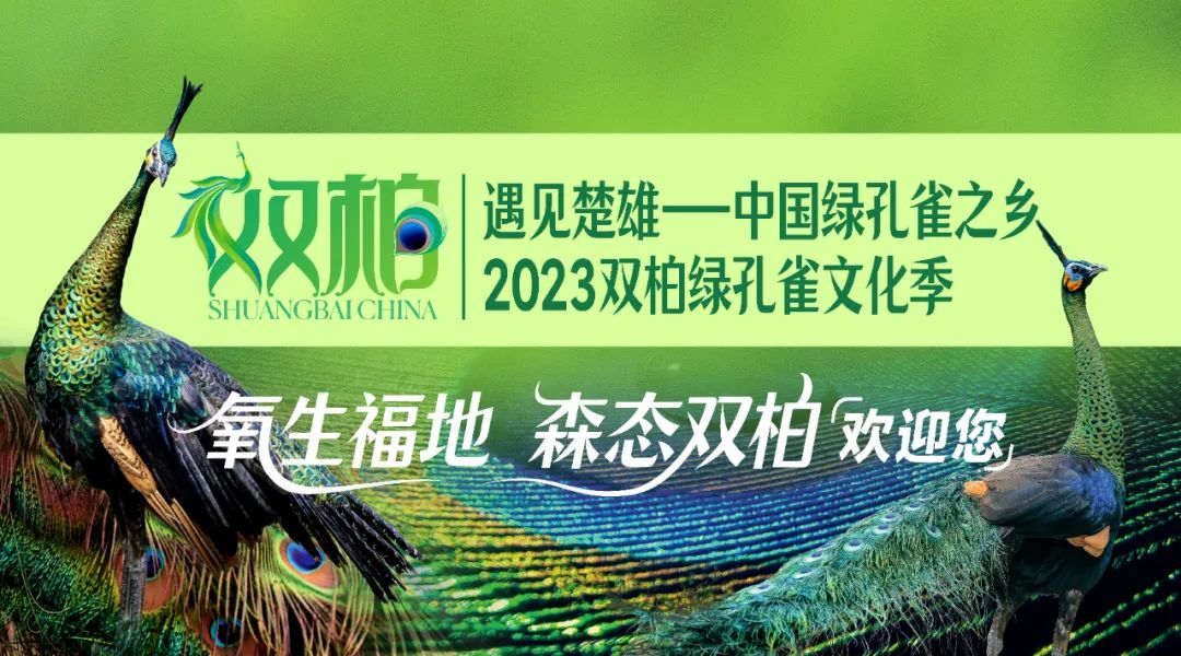 https://manager.ynggwhy.cn/file/group13/M00/01/4A/rBABVWUHtz-EHrN4AAAAAPdE1WM666.jpg
