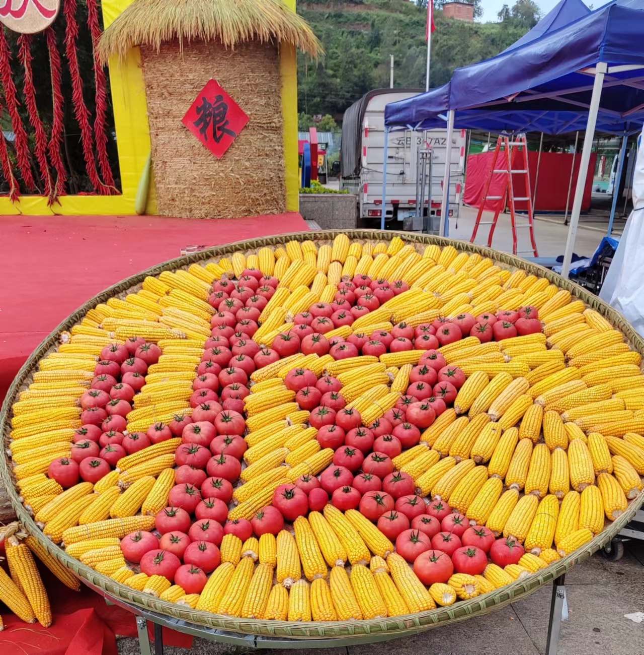 https://manager.ynggwhy.cn/file/group13/M00/03/F5/rBABVWUjcfmEFfowAAAAAKe_o3c835.jpg