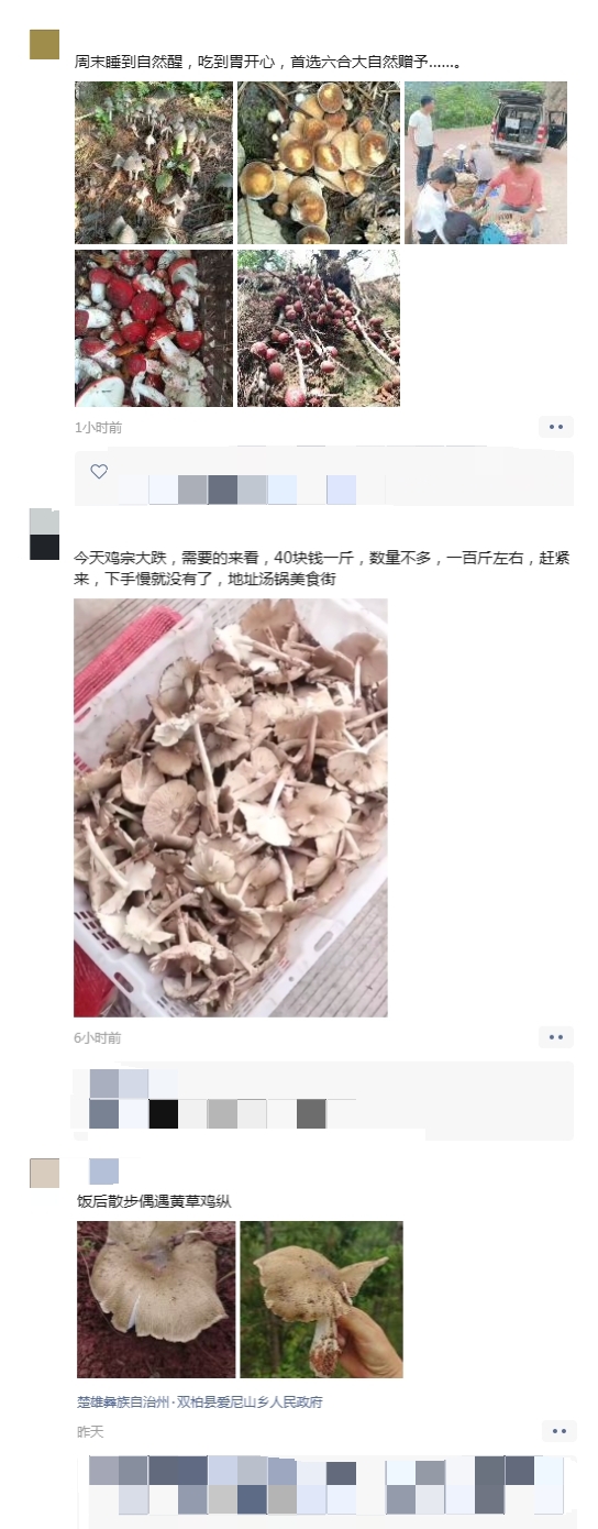 https://manager.ynggwhy.cn/file/group21/M00/04/A7/rBABmGhmLHeENnBEAAAAAB5AmQk186.jpg
