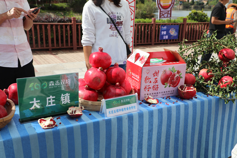 https://manager.ynggwhy.cn/file/group3/M00/06/4D/rNwBNmFNHISEDmMGAAAAAFAjon0773.jpg