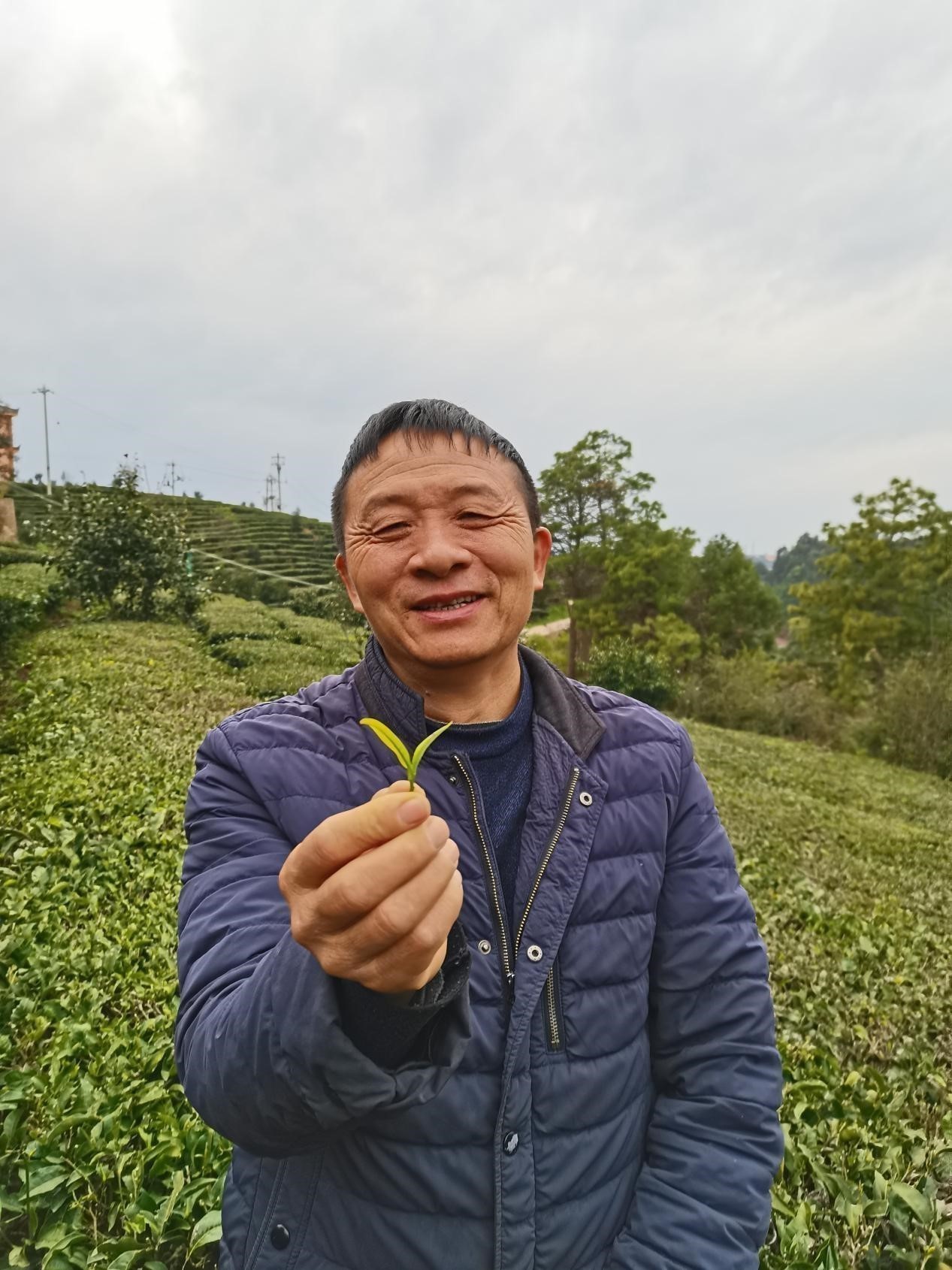 https://manager.ynggwhy.cn/file/group3/M00/09/7E/rNwBNmHw_Y6EF_FlAAAAAP2-PbM793.jpg