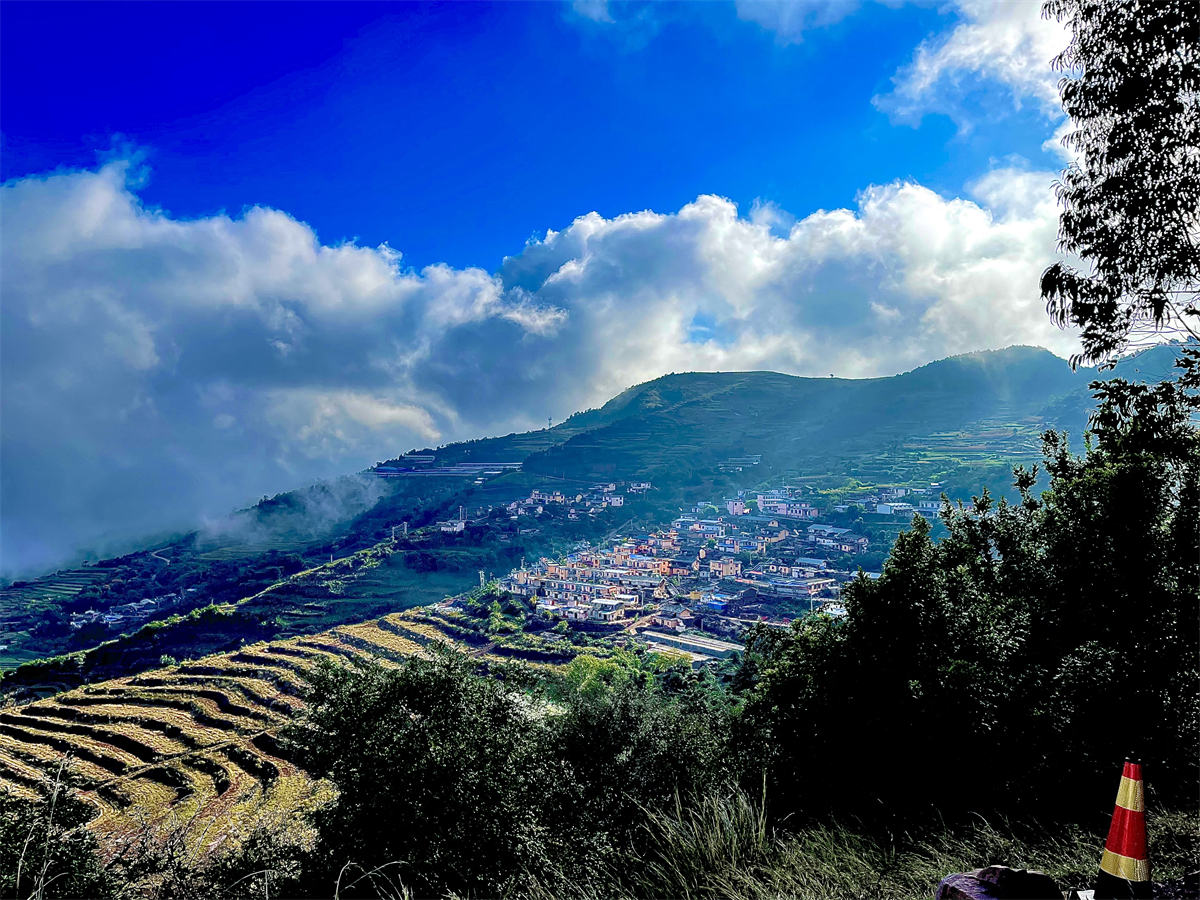 查姆文苑大麦地镇文联才艺大比拼秀我展风采第一期