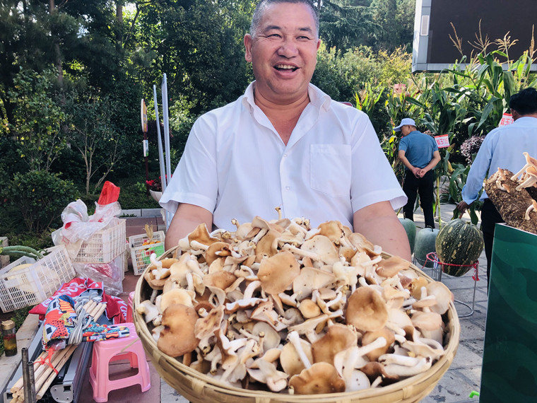 https://manager.ynggwhy.cn/file/group4/M00/06/5C/rNwBK2FNHICEK5X9AAAAALDE09k727.jpg