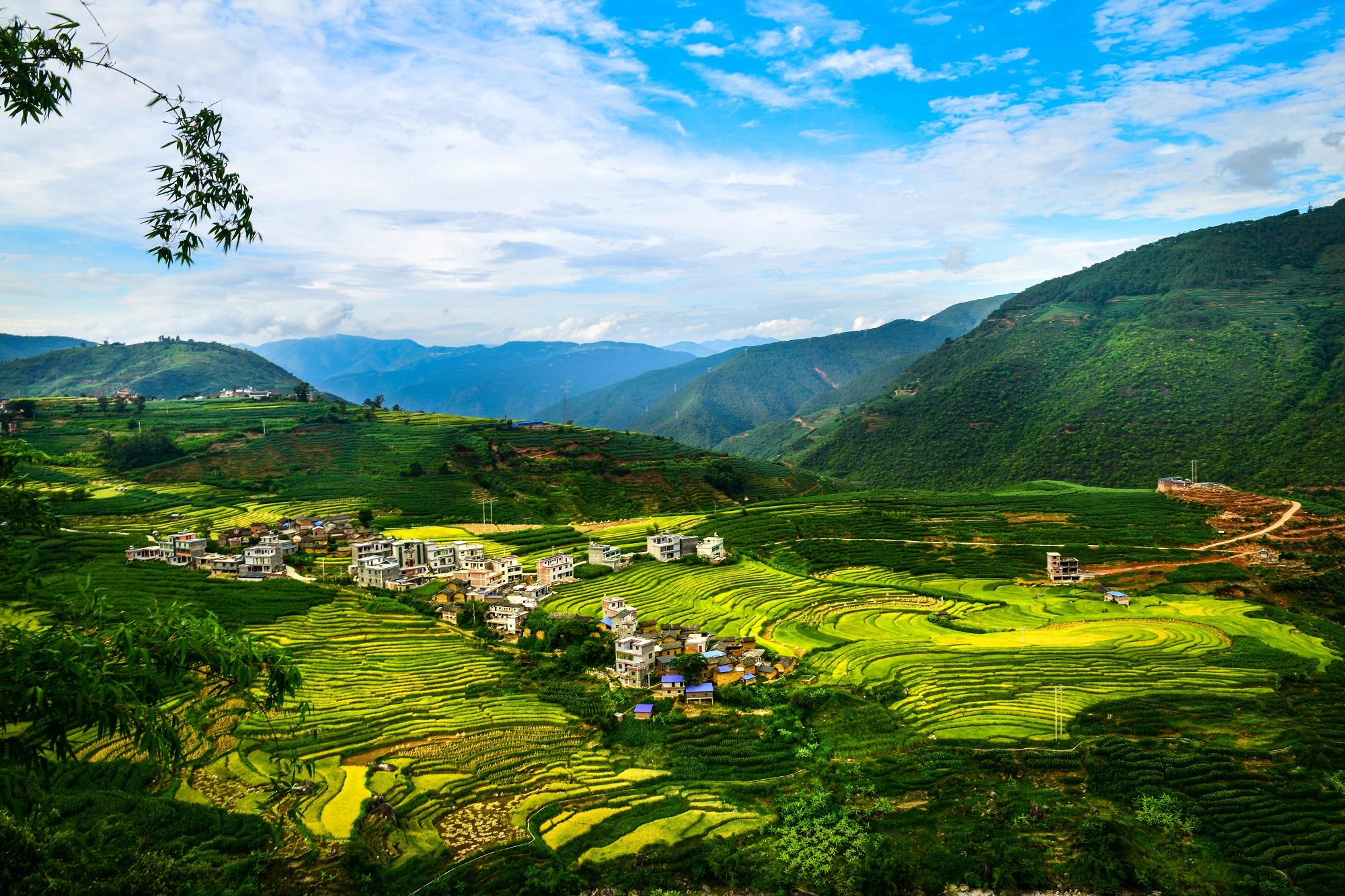 双柏县风景图片