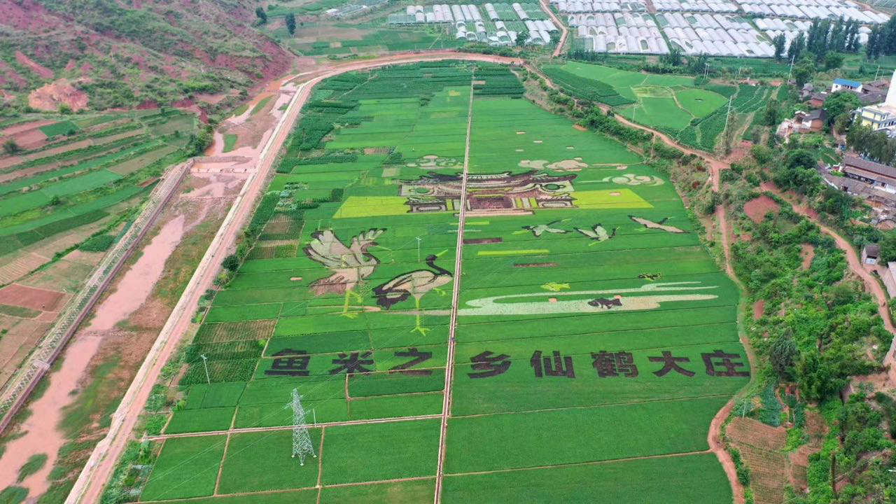 云南双柏大庄镇柏子村:文旅融合带来村庄新变化——双柏县文化馆