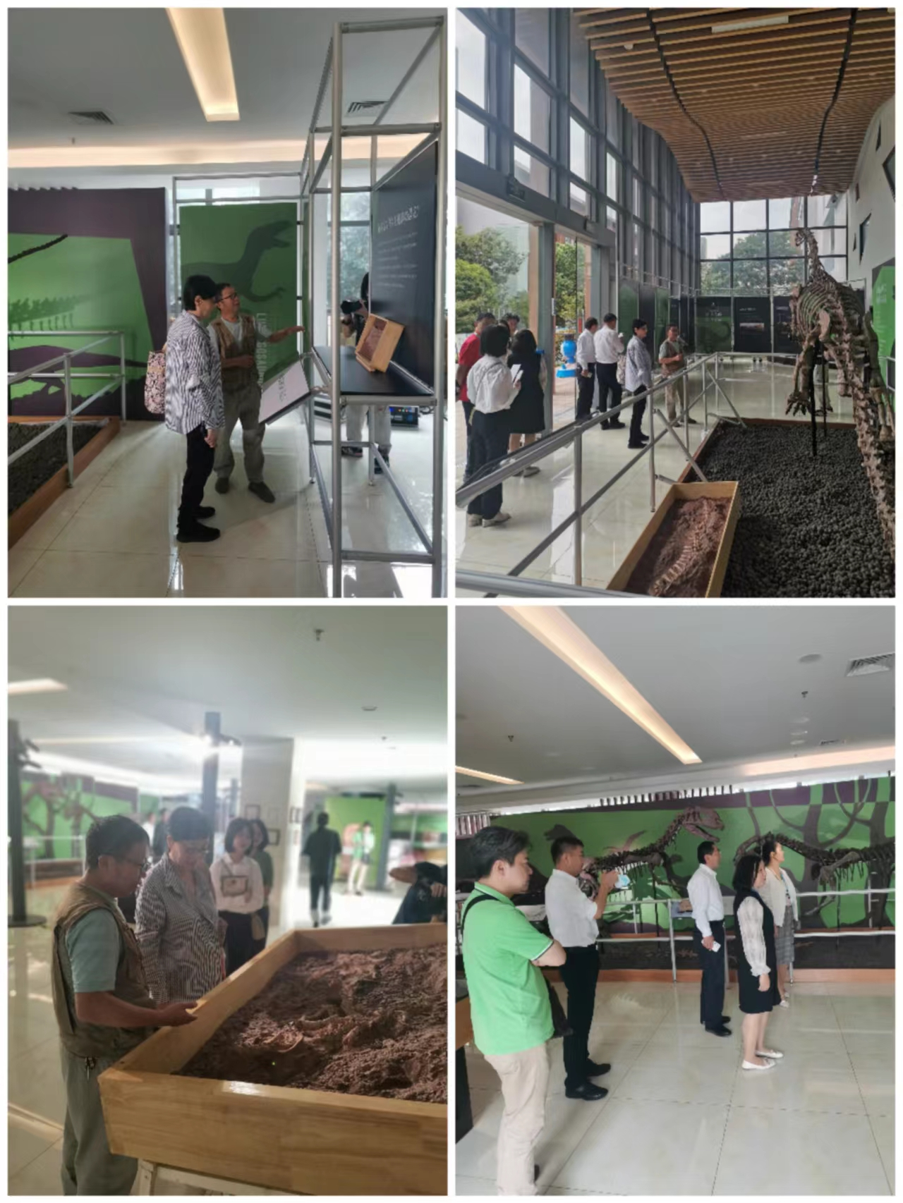 “禄丰龙的故事”全国专题巡回展正式开展——禄丰市文化馆